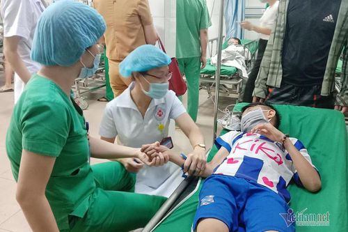 Nghệ An: Hàng loạt học sinh bị ong đốt phải nhập viện cấp cứu