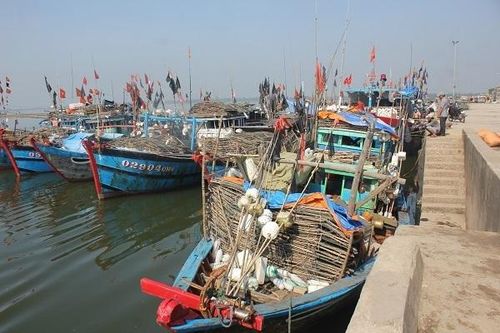 Gỡ 'thẻ vàng' IUU: Phải làm quyết liệt, mạnh mẽ hơn