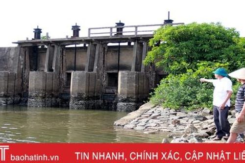 Công trình thủy lợi trên tuyến đê Hoàng Đình 'mất tác dụng' trước mùa mưa lũ