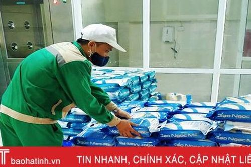 KC Hà Tĩnh thu mua 2.500 tấn lúa Nếp 98 và Khang dân 18