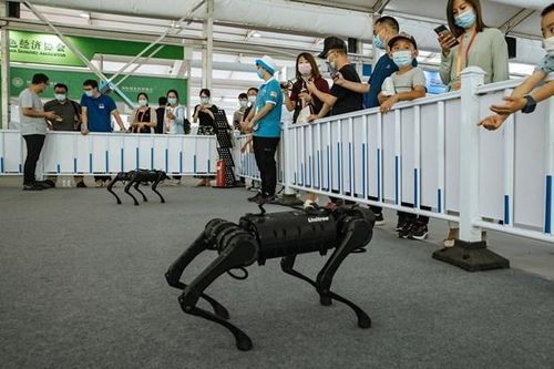 Robot trí tuệ nhân tạo 'lên ngôi' trong dịch COVID-19