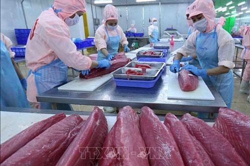 Cơ hội thúc đẩy phục hồi xuất khẩu sản phẩm tôm, cá ngừ vào EU
