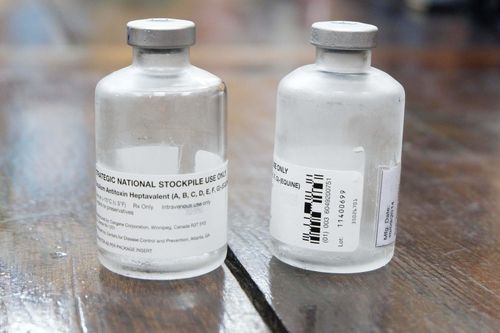 Đêm nay, 10 liều thuốc kháng độc tố của vi khuẩn trong pate Minh Chay sẽ về Việt Nam