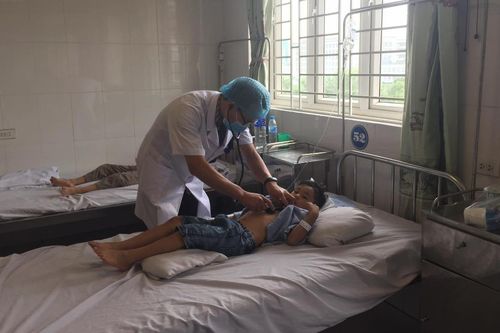 Nghệ An: 16 học sinh tiểu học nhập viện do bị ong đốt