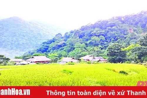 Thích ứng để 'sống chung' với dịch bệnh