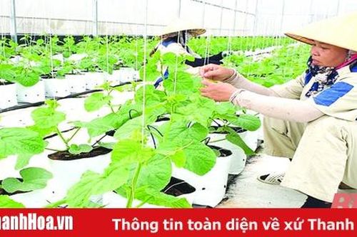 Trần Văn Tân và hành trình khởi nghiệp trong lĩnh vực nông nghiệp công nghệ cao