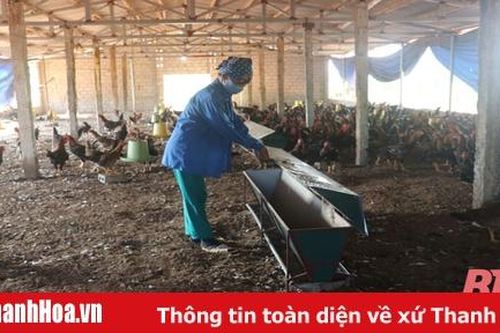 Khó khăn trong kiểm soát chất lượng giống vật nuôi