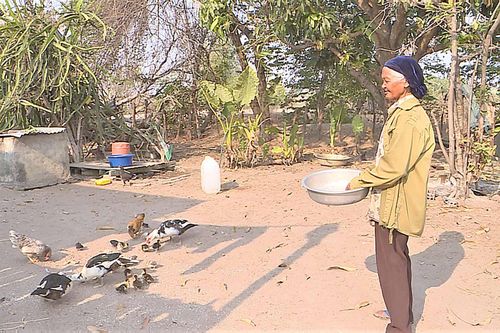 'Cánh chim đầu đàn' của làng Kinh Pêng