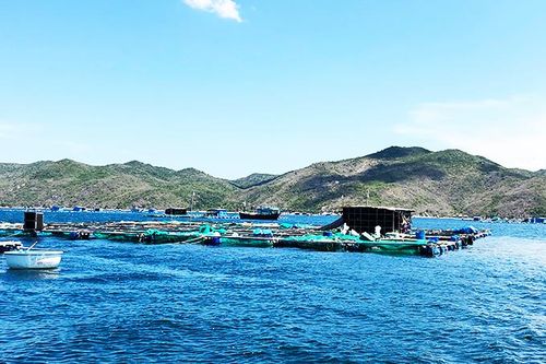 Cấp bù hơn 9,6 tỷ đồng lãi suất để thực hiện khoanh nợ