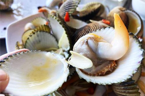 Sò mồng xứ Giã