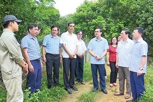 Nghiên cứu, khảo sát kết quả phát triển kinh tế trang trại tại Phù Ninh