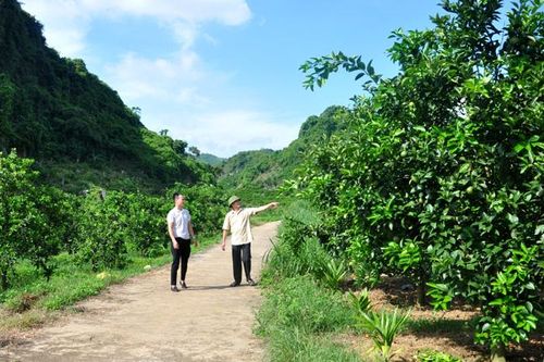 Bước phát triển đột phá - Bài 1: Lấy nông nghiệp làm gốc