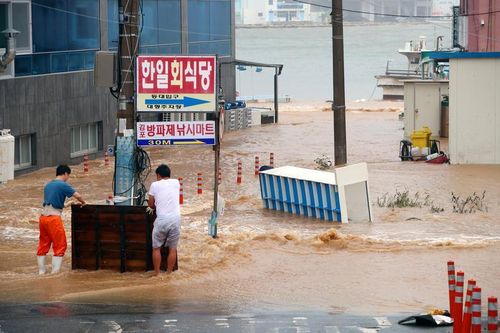 Bão Haishen tàn phá nhiều khu vực tại Hàn Quốc
