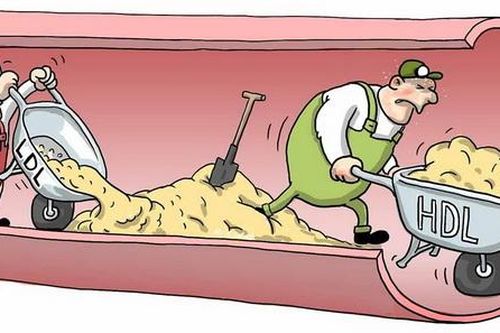Cholesterol máu cao có thật sự đáng sợ?