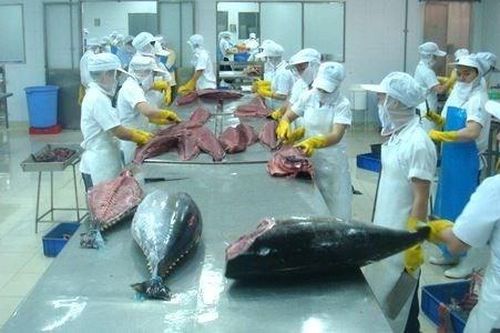 Xuất khẩu tôm, cá ngừ vào EU tăng nhanh