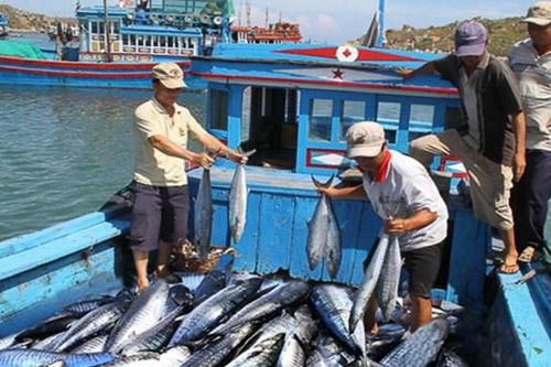 Nỗ lực gỡ thẻ vàng IUU