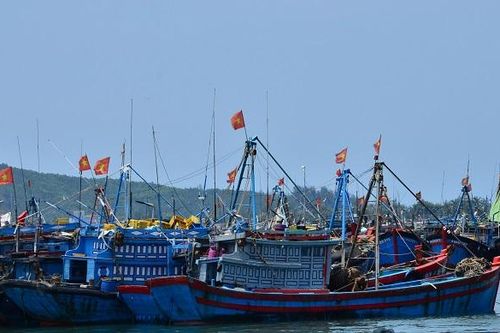 Xử phạt 197 triệu đồng 2 thuyền trưởng vi phạm quy định trong khai thác thủy sản