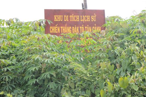 Di tích quốc gia đặc biệt: Chưa nhận được sự quan tâm đặc biệt!
