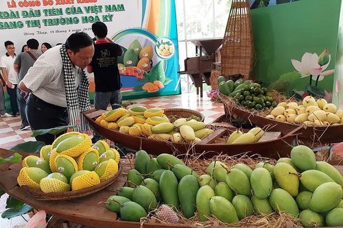 Giám sát quản lý mã vùng trồng và cơ sở đóng gói trái cây xuất khẩu