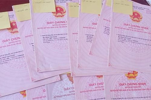 Nói 'không' với giấy tờ giả