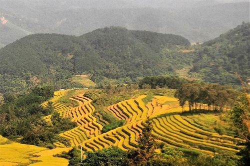 Lần đầu tổ chức Hội mùa vàng Bình Liêu