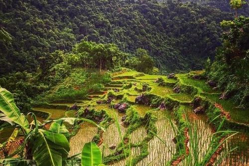 Tập trung lan tỏa hình ảnh 'Thanh Hóa - điểm đến an toàn'