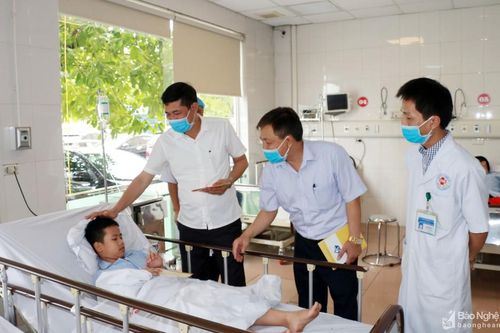 Sở Giáo dục và Đào tạo Nghệ An thăm hỏi học sinh bị ong đốt