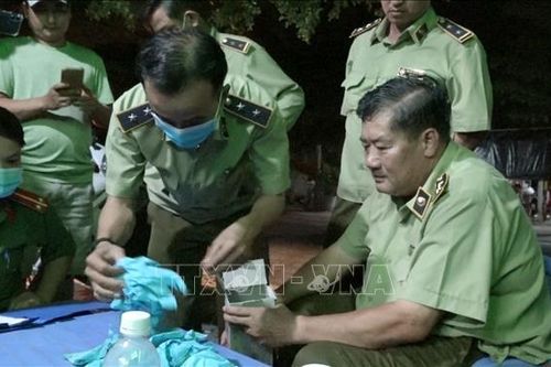 Phát hiện 4 triệu găng tay y tế kém chất lượng, 'nhái' nhãn hiệu có tiếng