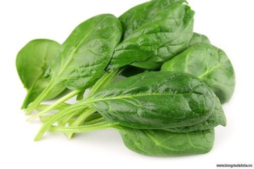 Những loại rau giúp con tăng chiều cao tự nhiên vượt bậc, tất cả các mẹ nên biết