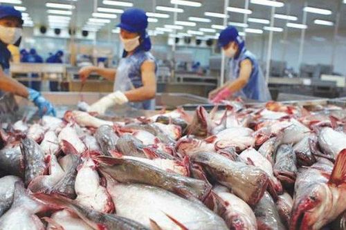Phải có giải pháp quyết liệt để gỡ 'thẻ vàng' cho thủy sản Việt Nam
