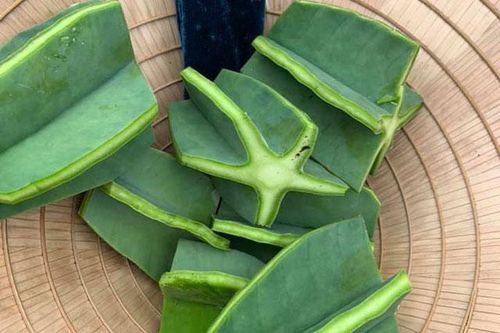 Ứa nước miếng loài cây đầy gai góc lại có thể thành món ăn cực hao cơm, thử 1 lần nhớ mãi