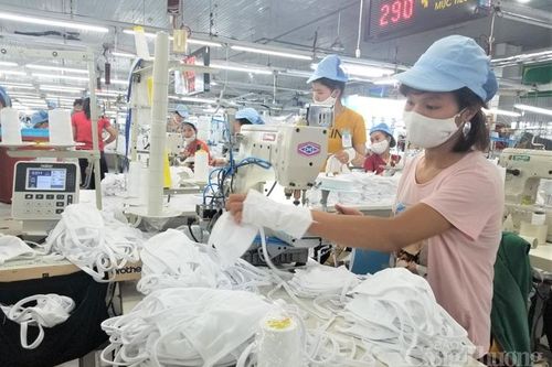 Thừa Thiên Huế: Doanh nghiệp dệt may 'ăn nên làm ra' nhờ xuất khẩu khẩu trang y tế