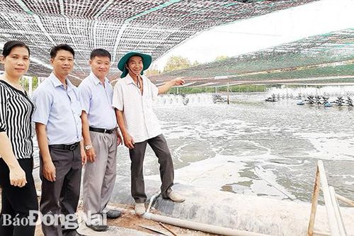 Tỷ phú nuôi tôm công nghệ cao