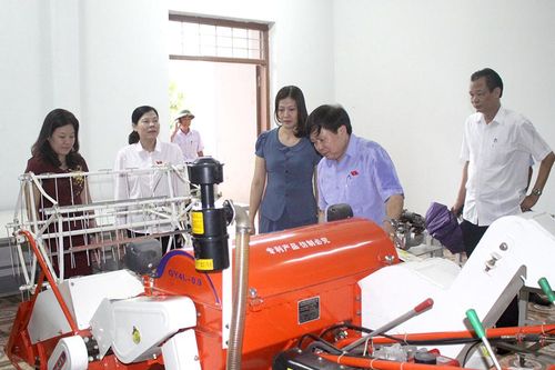 Khảo sát thực hiện chính sách pháp luật về giáo dục nghề nghiệp