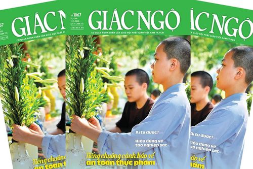 Giác Ngộ số 1067 : Tiếng chuông cảnh báo về an toàn thực phẩm