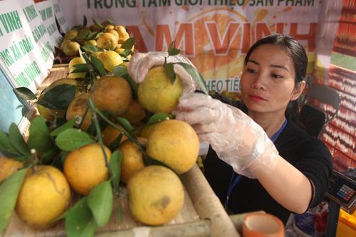 Ngăn chặn mạo danh mã số vùng trồng: Không để 'con sâu làm rầu nồi canh'