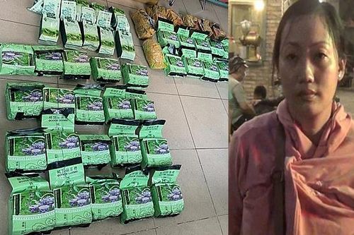 Triệt phá đường dây vận chuyển gần 50kg ma túy từ Campuchia về thành phố Hồ Chí Minh