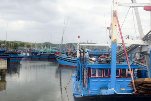 Xâm phạm vùng biển nước ngoài, một chủ tàu cá Bình Định bị phạt 900 triệu đồng