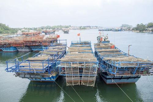 Thông tin mới nhất về 25 ngư dân Quảng Ngãi bị tàu hàng đâm chìm