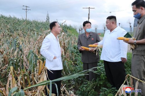 Báo Triều Tiên nêu bật những nỗ lực khôi phục sau 3 cơn bão liên tiếp