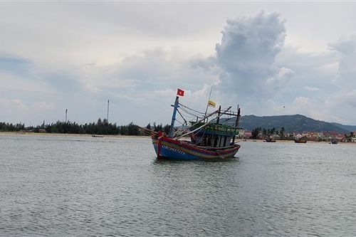 Tàu câu mực ở Quảng Ngãi bị đâm chìm: 1 người chết, 1 người mất tích