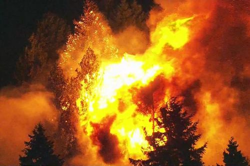 Mỹ: Bang Oregon ban bố tình trạng khẩn cấp do cháy rừng