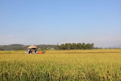 Nông dân Can Lộc viết tiếp tinh thần Xô Viết