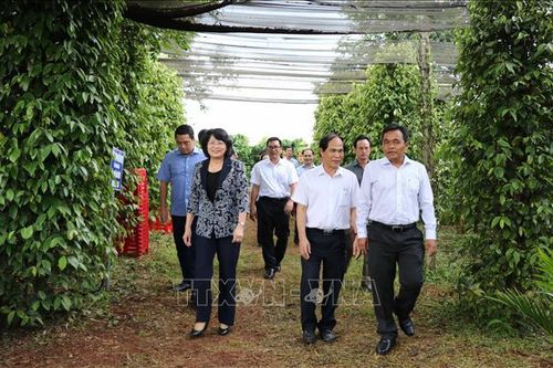 Phó Chủ tịch nước tặng quà cho người có công, trao bổng cho học sinh nghèo tại Gia Lai