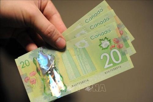 Chính phủ Canada hỗ trợ các doanh nhân da màu vượt 'bão' COVID-19
