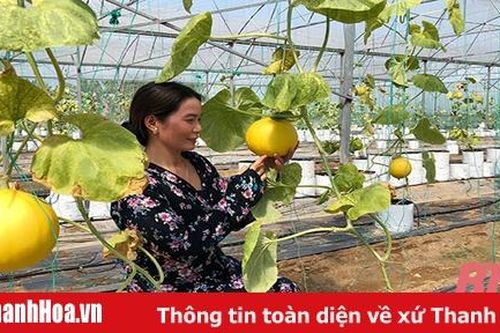 Ứng dụng khoa học - công nghệ trong sản xuất nông nghiệp công nghệ cao