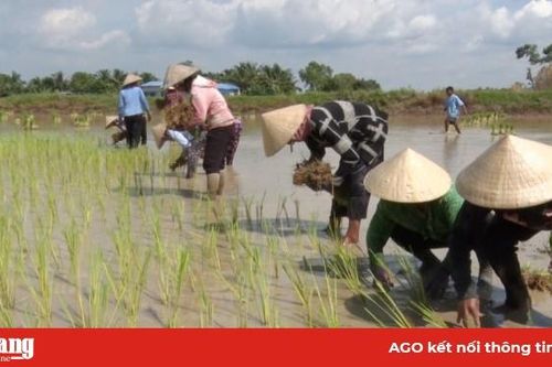 Tiềm năng du lịch nông nghiệp Núi Tô