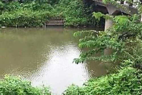 Hải Phòng: Giận vợ không gửi tiền về, chồng ôm 2 con nhỏ nhảy cầu tự vẫn