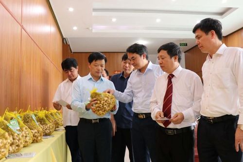 Công bố văn bằng bảo hộ sở hữu trí tuệ chỉ dẫn địa địa lý cho tỏi An Thịnh