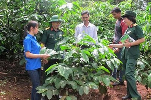 Giúp dân xóa đói, giảm nghèo hiệu quả